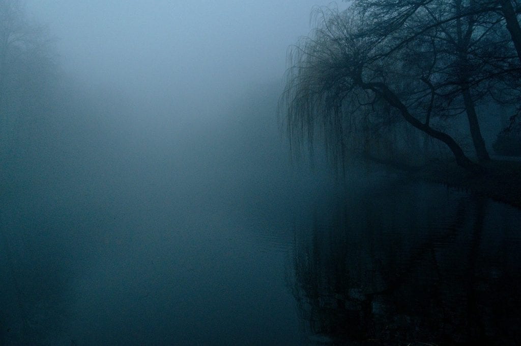 the fog, dark, nature